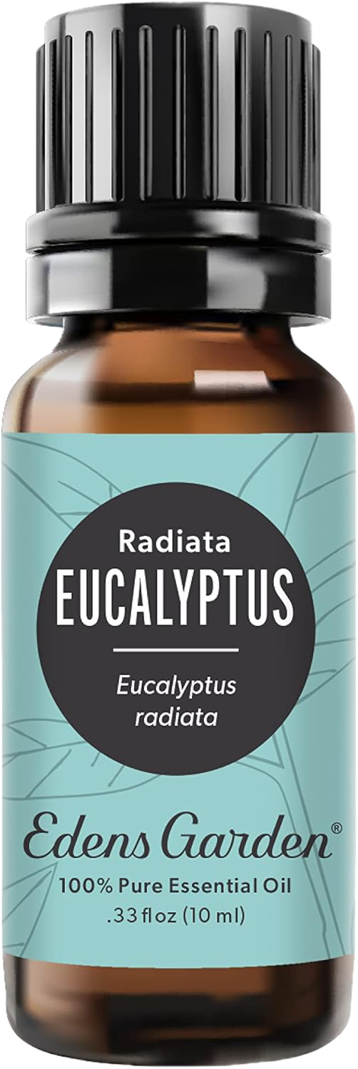 Eucalyptus Radiata Essential Oil