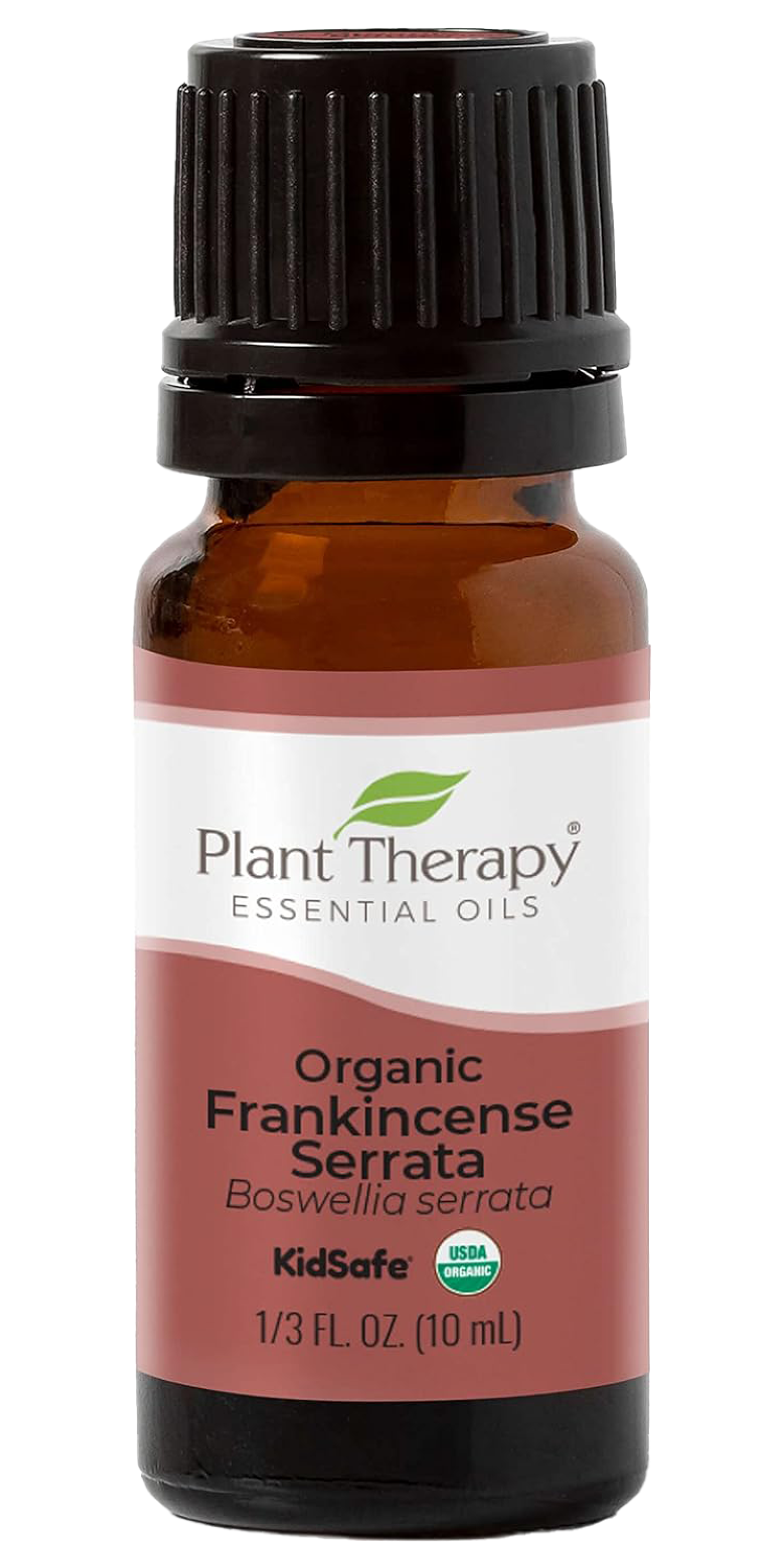 Organic Frankincense Serrata Essential Oil